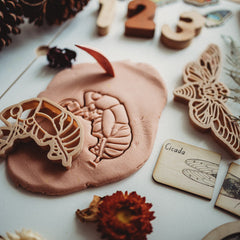Cicada and Shell Playdough Cutter Set