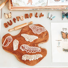 Monarch Butterfly Lifecycle Eco Cutter Set