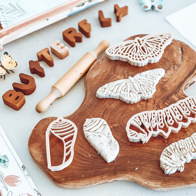 Monarch Butterfly Lifecycle Eco Cutter Set