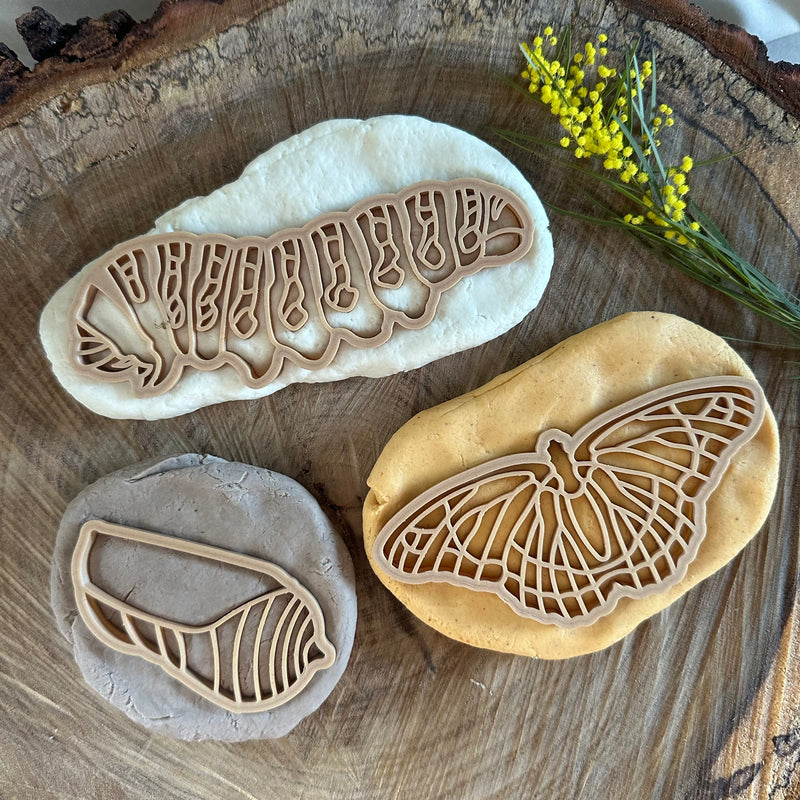 Monarch Butterfly Lifecycle Eco Cutter Set