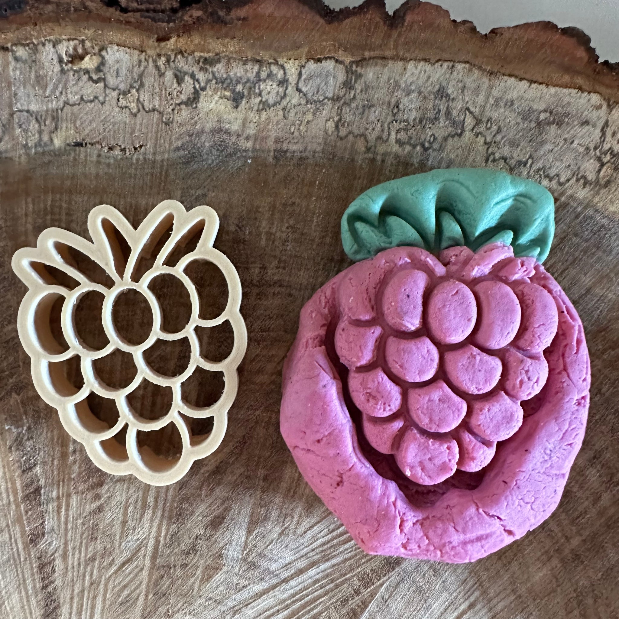 Mini Summer Fruit Eco Cutters