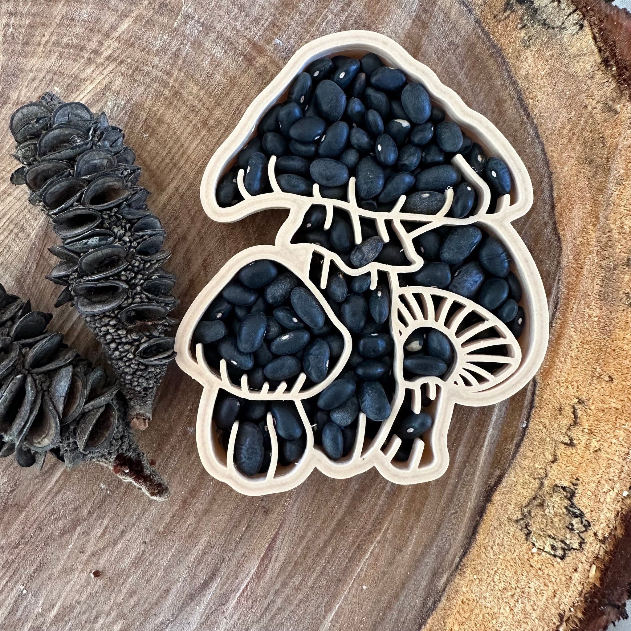 Field Mushroom Eco Cutter