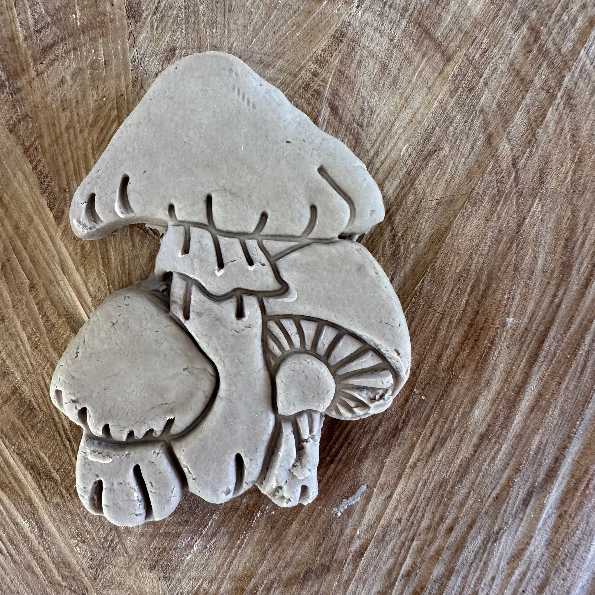 Field Mushroom Eco Cutter