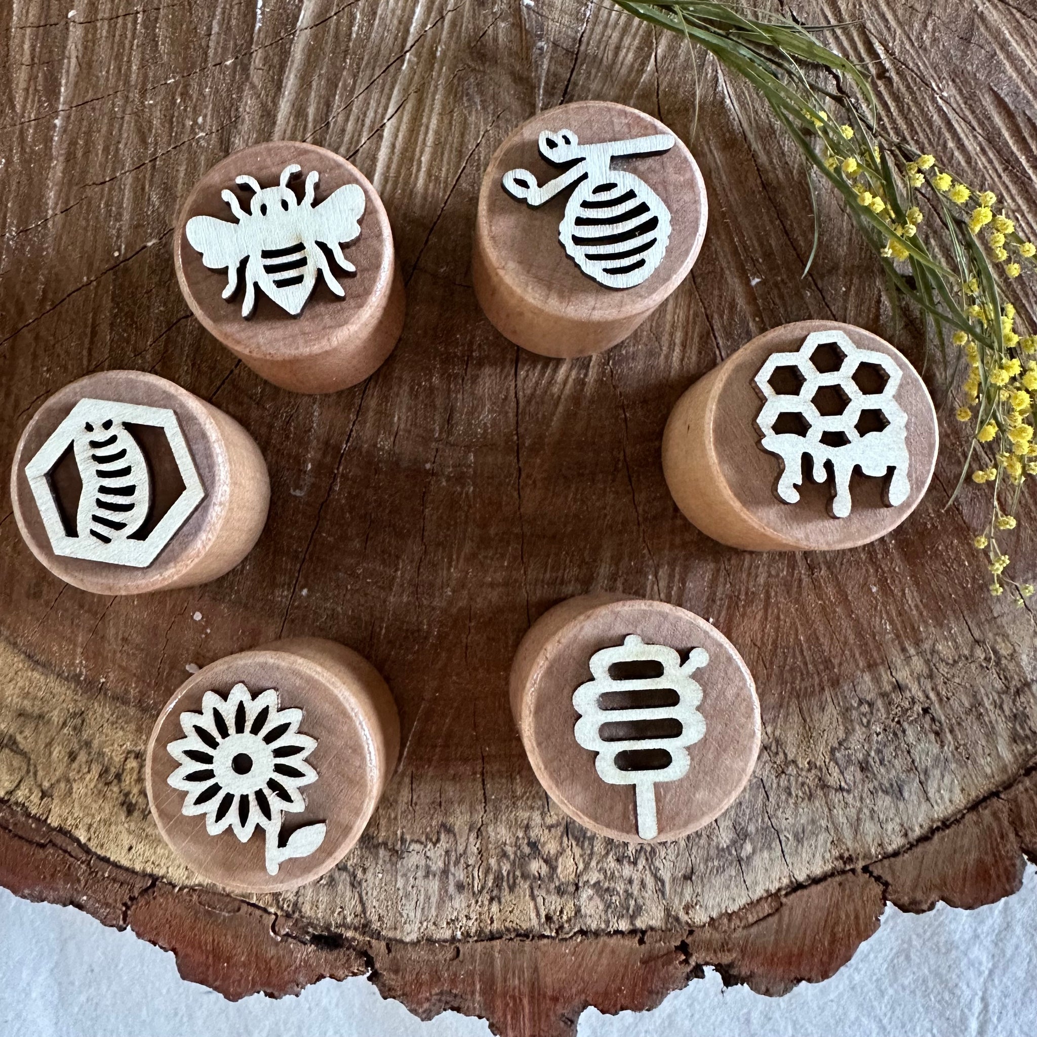Bee Life Cycle Stamp Set (6)