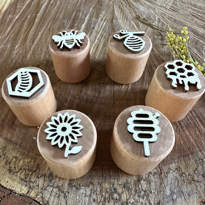 Bee Life Cycle Stamp Set (6)