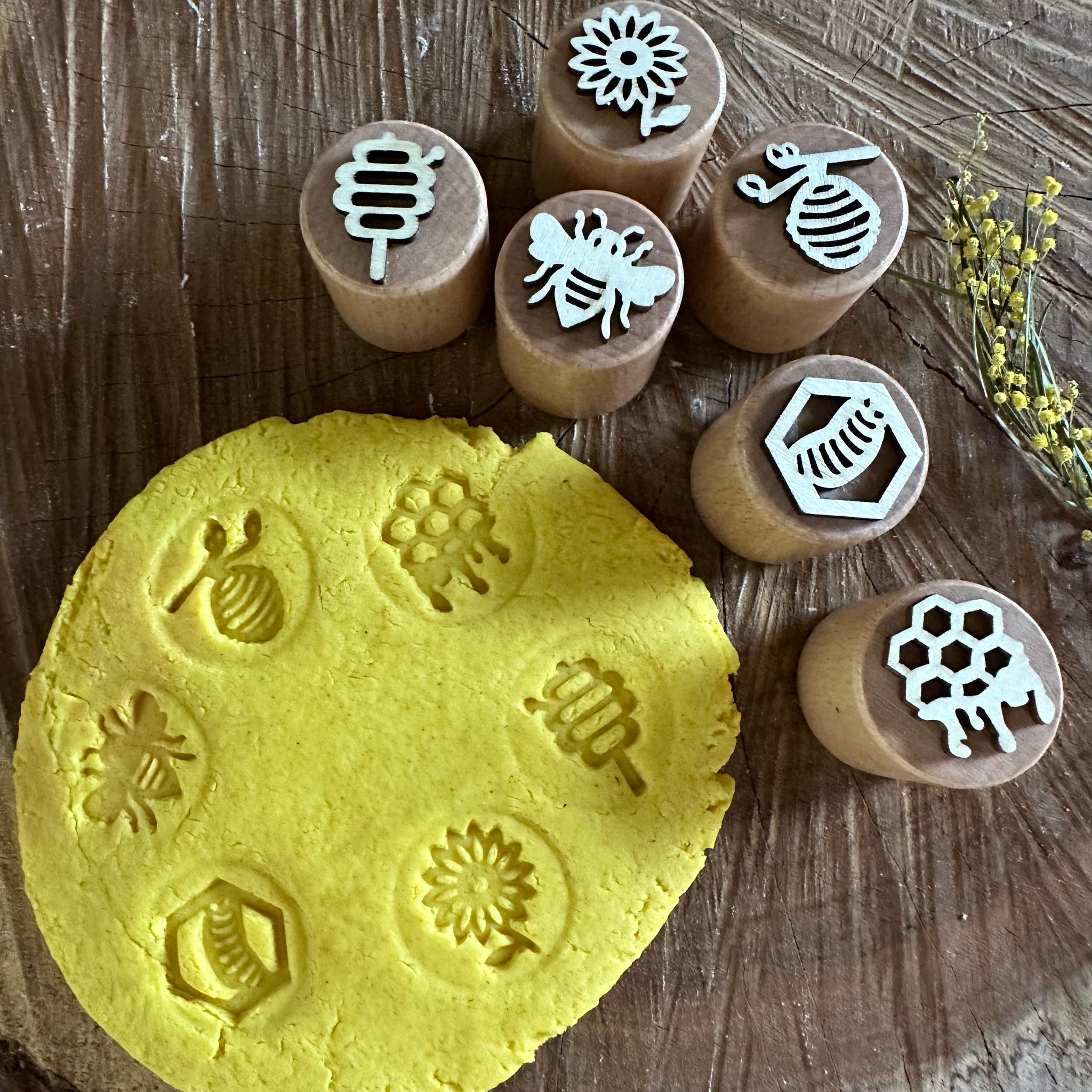 Bee Life Cycle Stamp Set (6)