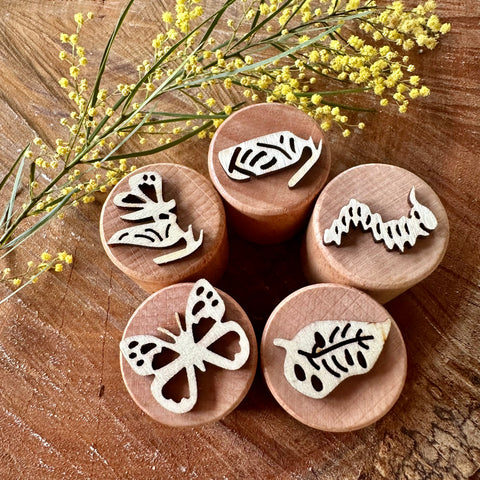 Butterfly Life Cycle Stamp Set