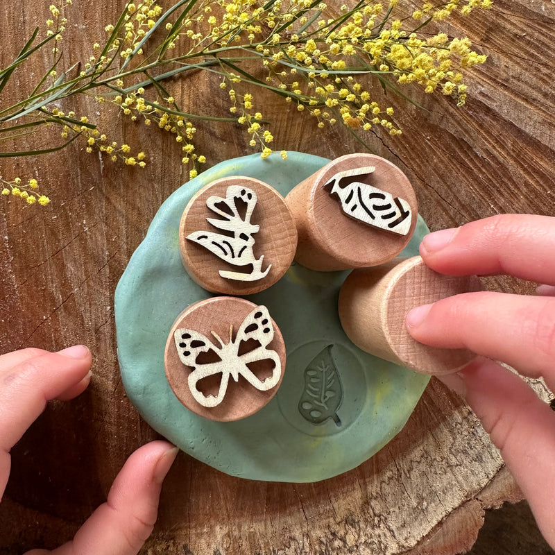 Butterfly Life Cycle Stamp Set