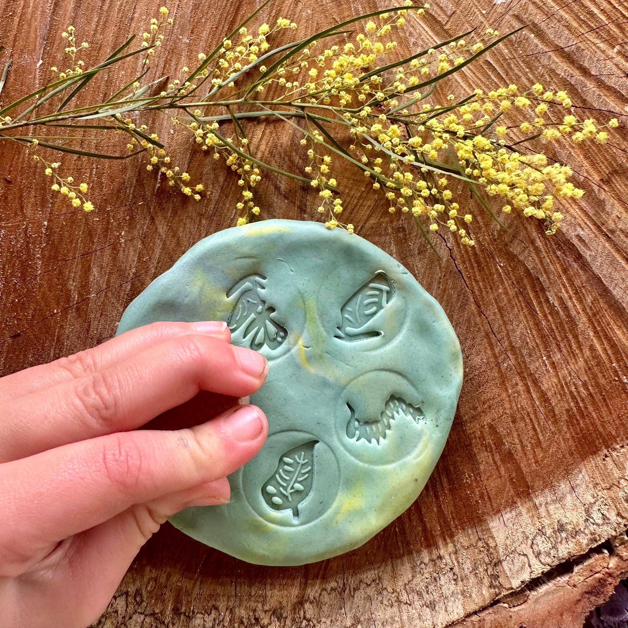 Butterfly Life Cycle Stamp Set