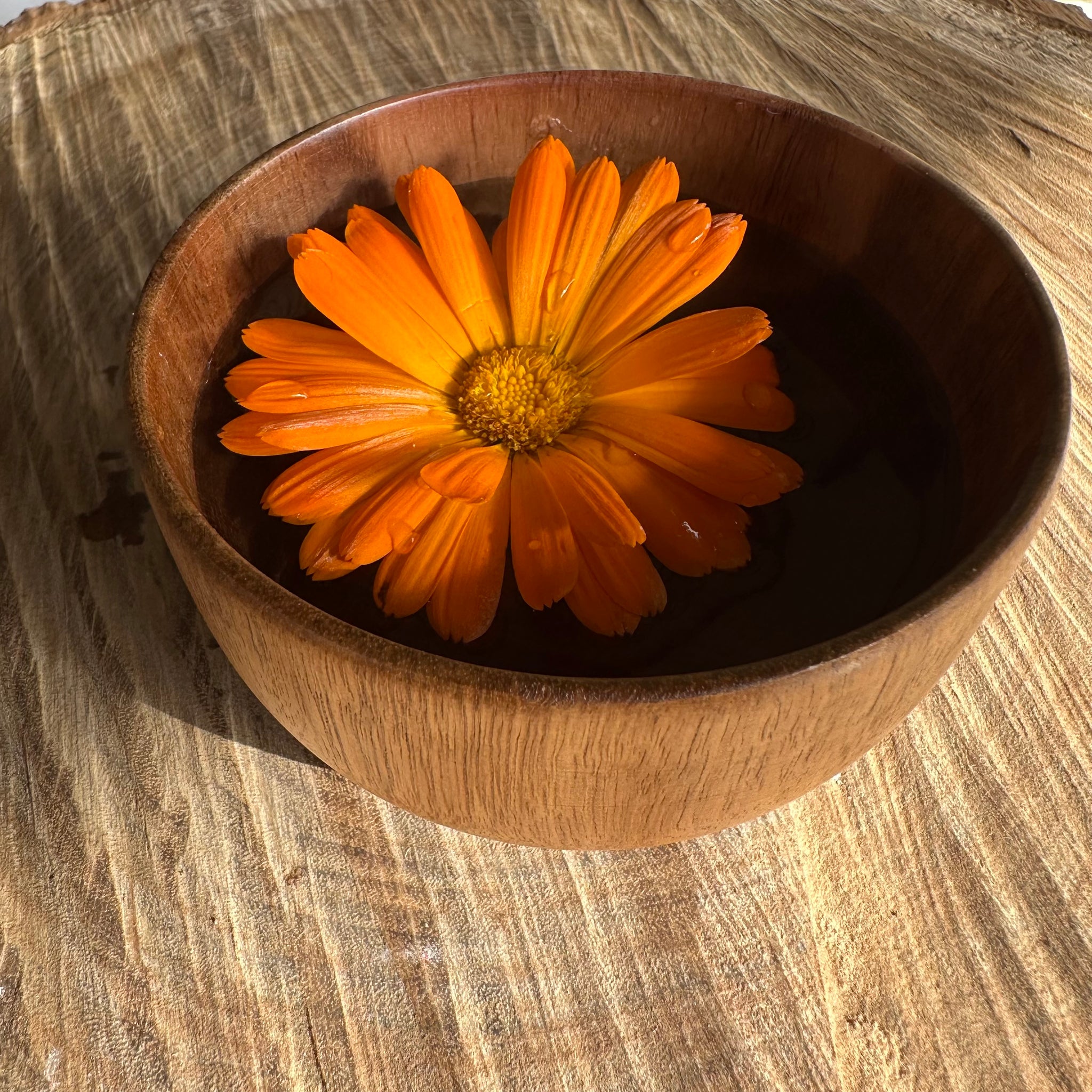 Woodland Treasure Bowl