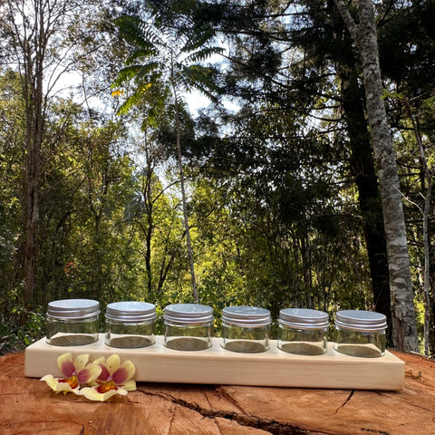 Wooden Paint Holder Set (Includes 6 Jars)